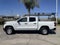 2024 Chevrolet Colorado Work Truck