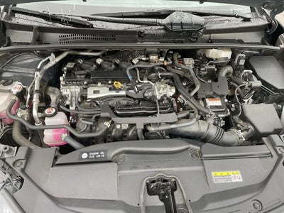 2023 Toyota Prius XLE